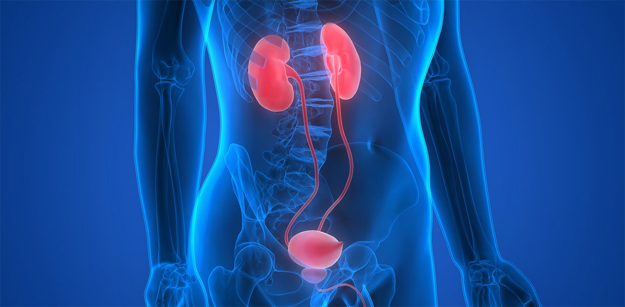 Urology Department